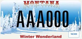 Montana Snowmobile Association Plate